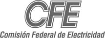 2-power-gen-CFE-Logo